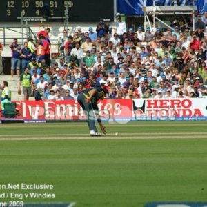 Umar Gul fields one off his own bowling