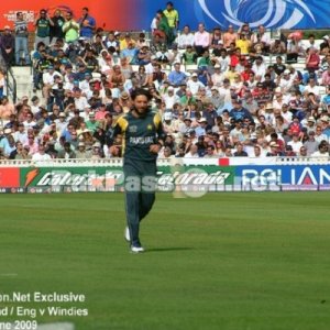 Pakistan fielding at The Oval