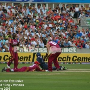 Ravi Bopara dives full length to avoid being run out