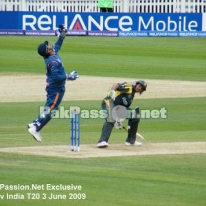 MS Dhoni does well to collect the ball
