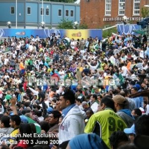 Pakistani supporters at The Oval