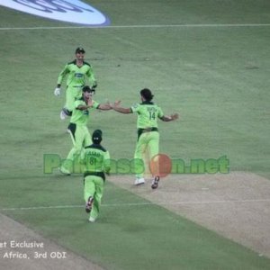 Pakistan celebrate a wicket