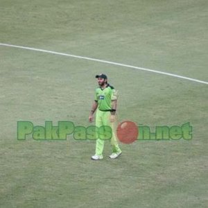 Shahid Afridi