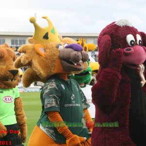 Friends Life Twenty20 Finals Day