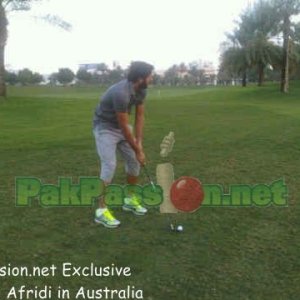 Shahid Afridi in Australia