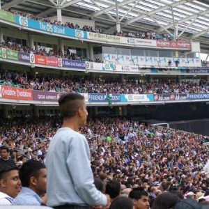 A Packed House at the Oval