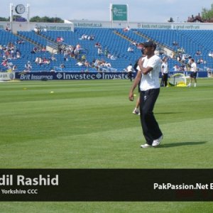 Adil Rashid