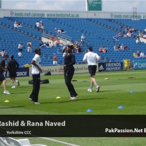 Rana Naved and Adil Rashid