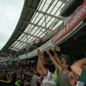 The Crowd at the Oval