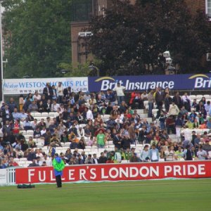 The Crowd at the Oval