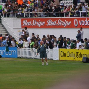 The Crowd at the Oval