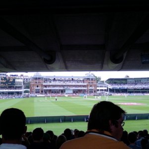 The Crowd at the Oval