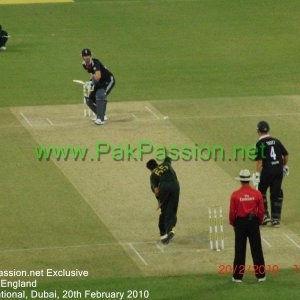 Umar Gul bowls to Kevin Pietersen