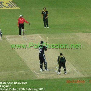 Shahid Afridi gets ready to bowl to Kevin Pietersen