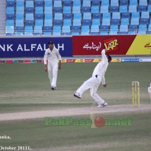 Saeed Ajmal prepares to bowl