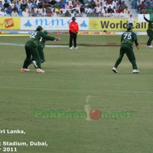 Pakistan vs Sri Lanka | 1st ODI | Dubai | 11 November 2011