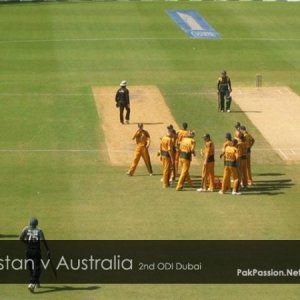 Australian team celebrates a fall of wicket