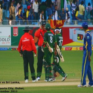Mohammad Hafeez and Imran Farhat go up to the umpires