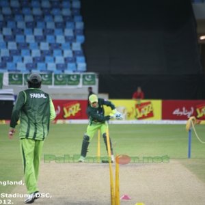 Mohammad Hafeez bowling