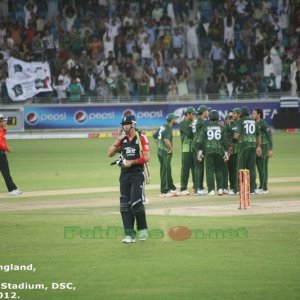 Pakistan celebrate Kevin Pietersen's wicket