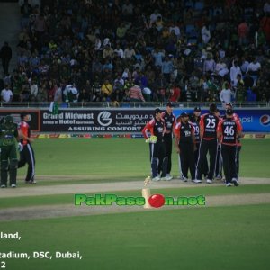 England celebrate Awais Zia's wicket