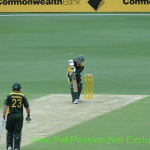 Australia v Pakistan, 1st ODI - 22/1/2010 @ The Gabba