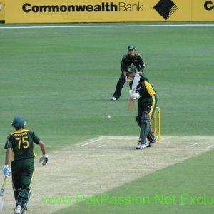 Australia v Pakistan, 1st ODI - 22/1/2010 @ The Gabba