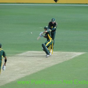 Australia v Pakistan, 1st ODI - 22/1/2010 @ The Gabba