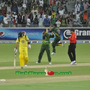 Ajmal and Hafeez celebrating after getting a wicket