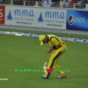 Micheal Hussey taking a catch