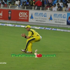 Micheal Hussey