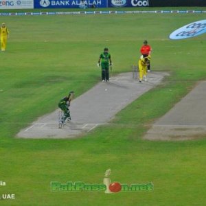 Hafeez batting