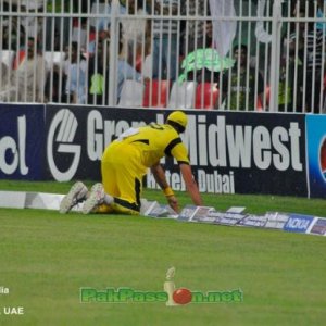 Australian player fielding at the boundary