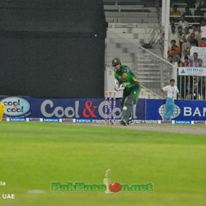 Muhammad Hafeez batting