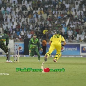 Hussey playing a shot