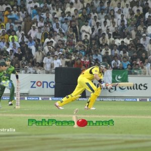 Micheal Hussey  batting