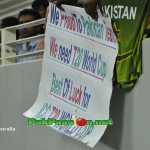 Pakistani supporters