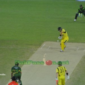 Razzaq to Watson