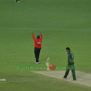 Pakistan vs Australia 3rd T20 Dubai