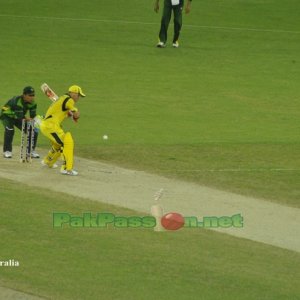 Pakistan vs Australia 3rd T20 Dubai