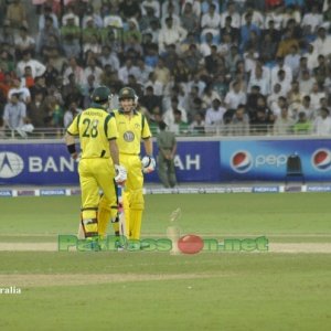 Pakistan vs Australia 3rd T20 Dubai