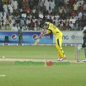 Micheal Hussey batting