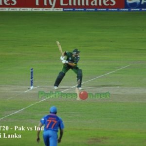 Shahid Afridi batting