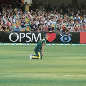 Australia vs Sri Lanka, 3rd ODI, Brisbane