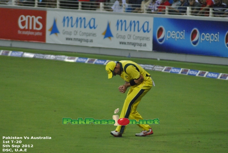 Micheal Hussey taking a catch