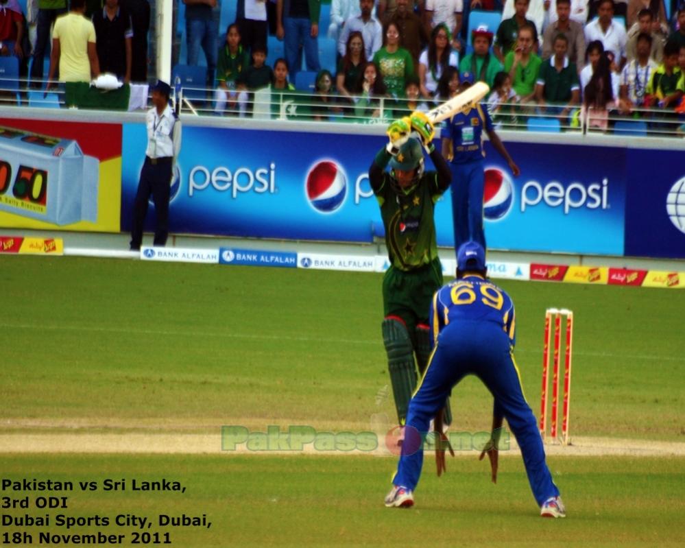 Mohammad Hafeez batting