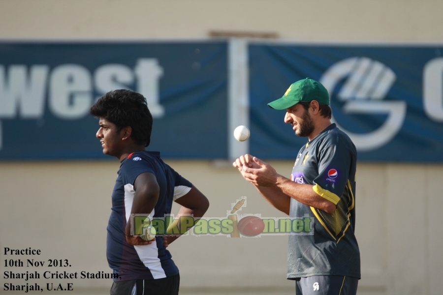 Pakistan vs South Africa, 5th ODI Training Session