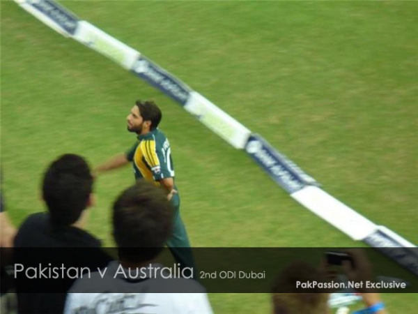 Shahid Afridi walks off the field