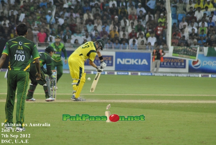 Shane Watson batting