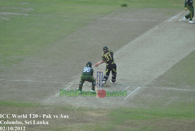 Warner batting